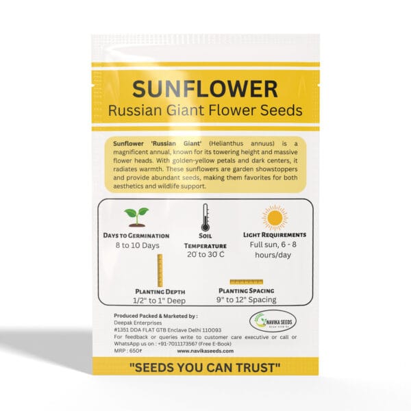 Sunflower-Russian-Giant - Image 2