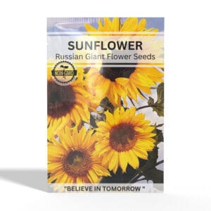 Sunflower-Russian-Giant