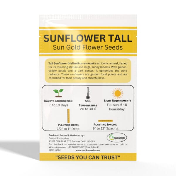 Sunflower-Tall-Sungold - Image 2
