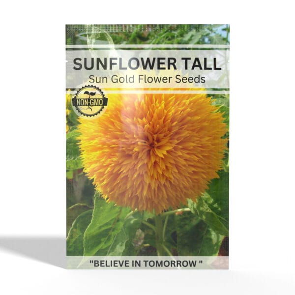 Sunflower-Tall-Sungold