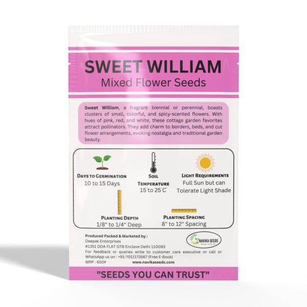 Sweet-Willam - Image 2
