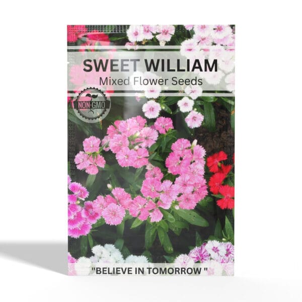 Sweet-Willam