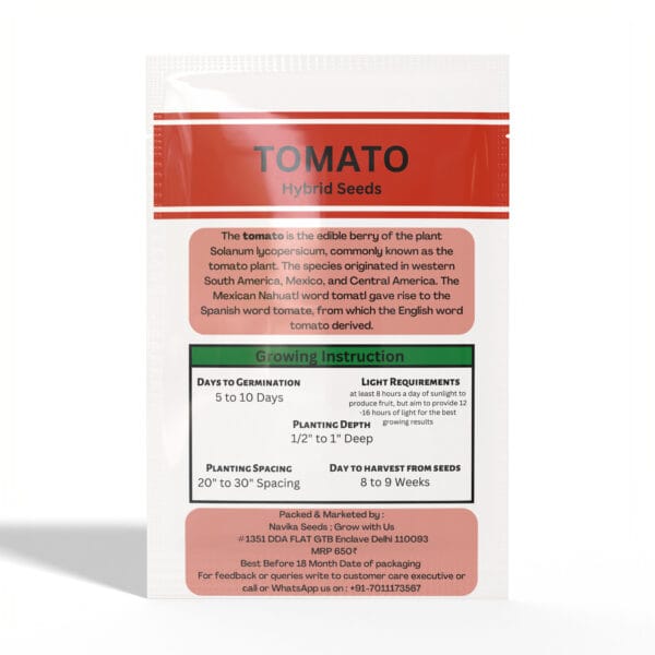 Tomato - Image 2