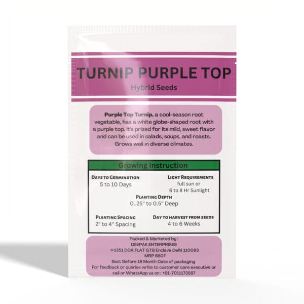 Turnip-Purple-Top - Image 2