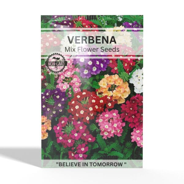 Verbena
