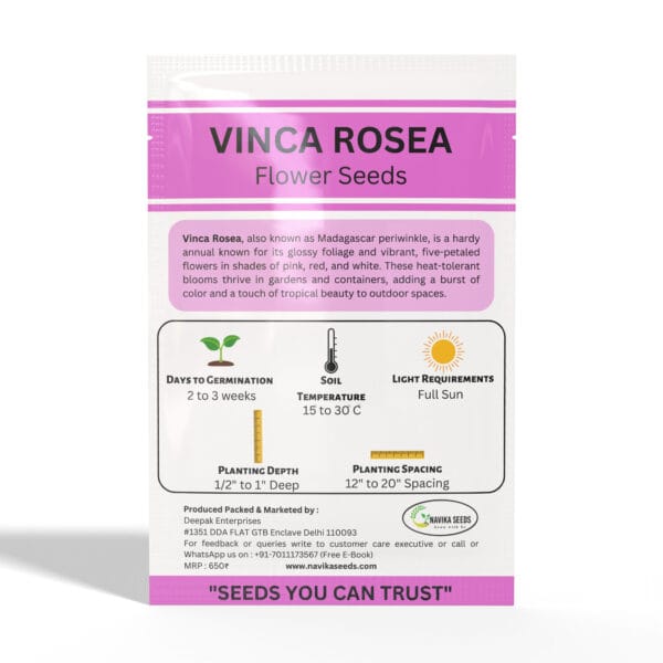 Vinca - Image 2