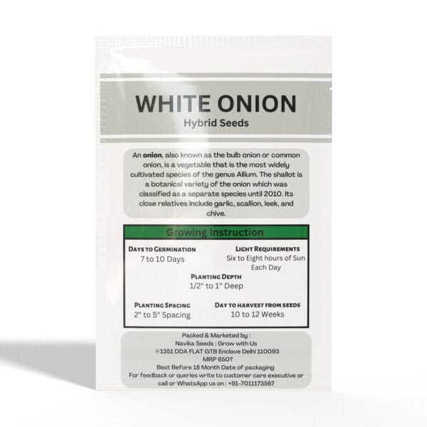 White-Onion - Image 2