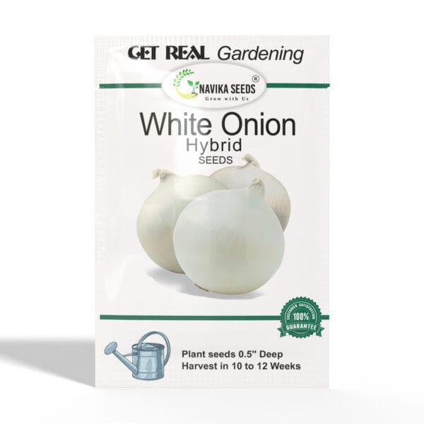 White-Onion