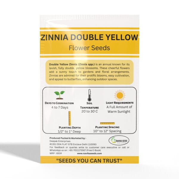 Zinnia-Double-Yellow - Image 2