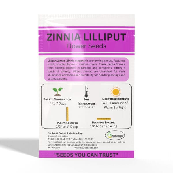 Zinnia-Lilliput - Image 2