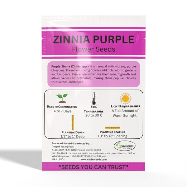 Zinnia-Purple - Image 2
