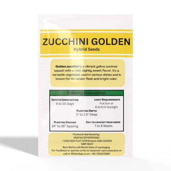 Zucchini-Golden - Image 2