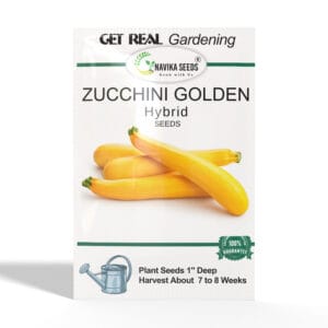 Zucchini-Golden